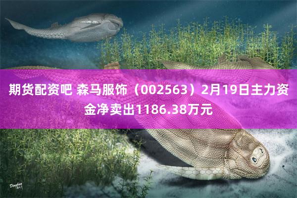 期货配资吧 森马服饰（002563）2月19日主力资金净卖出1186.38万元