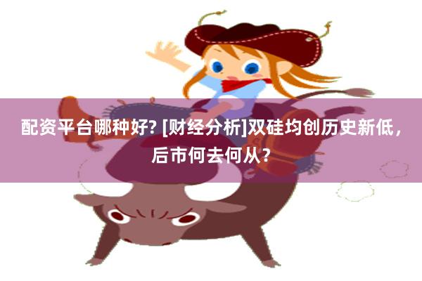 配资平台哪种好? [财经分析]双硅均创历史新低，后市何去何从？