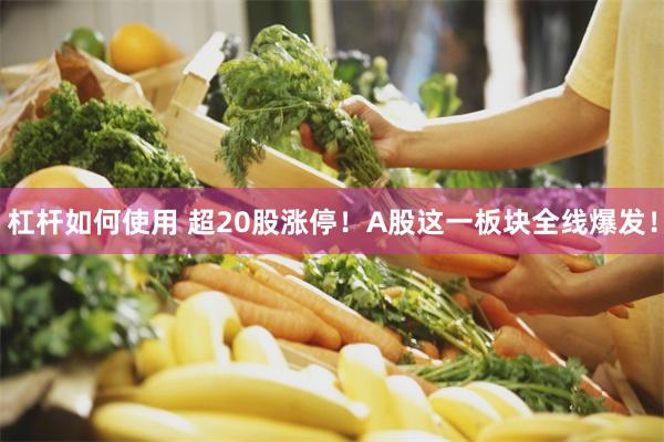 杠杆如何使用 超20股涨停！A股这一板块全线爆发！