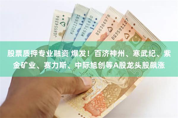 股票质押专业融资 爆发！百济神州、寒武纪、紫金矿业、赛力斯、中际旭创等A股龙头股飙涨