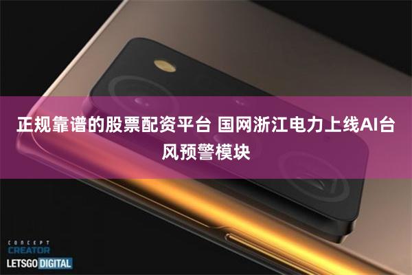 正规靠谱的股票配资平台 国网浙江电力上线AI台风预警模块
