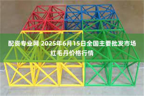 配资专业网 2025年6月15日全国主要批发市场红毛丹价格行情