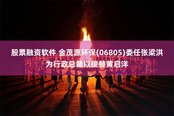 股票融资软件 金茂源环保(06805)委任张梁洪为行政总裁以接替黄启洋
