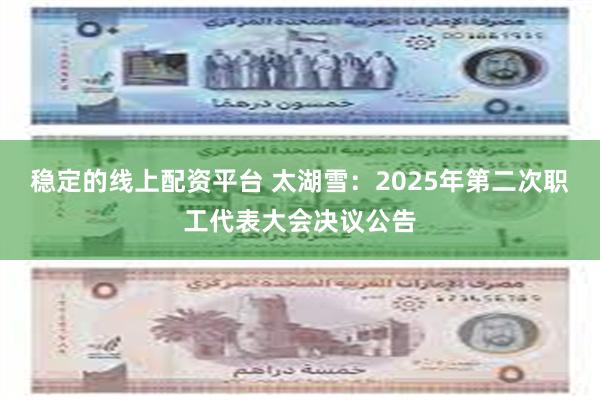 稳定的线上配资平台 太湖雪：2025年第二次职工代表大会决议公告