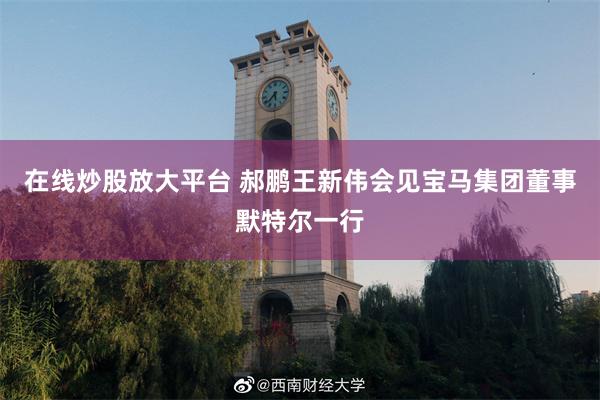 在线炒股放大平台 郝鹏王新伟会见宝马集团董事默特尔一行