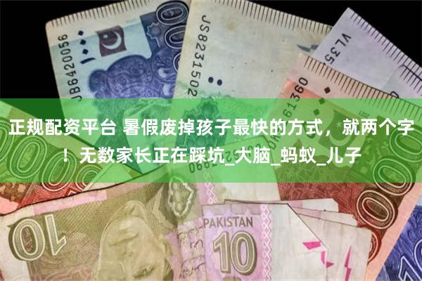 正规配资平台 暑假废掉孩子最快的方式，就两个字！无数家长正在踩坑_大脑_蚂蚁_儿子