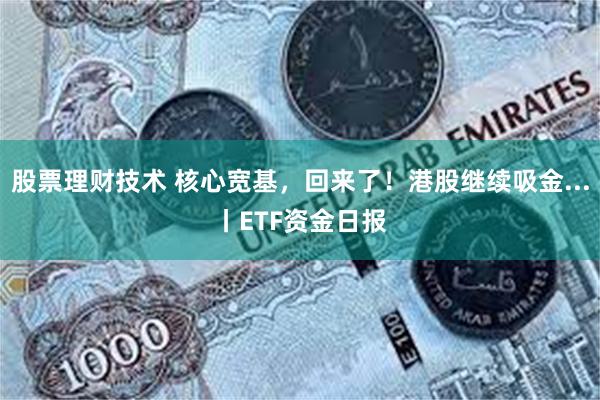 股票理财技术 核心宽基，回来了！港股继续吸金...丨ETF资金日报