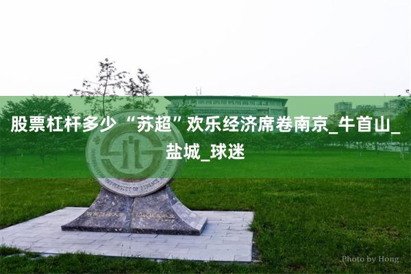 股票杠杆多少 “苏超”欢乐经济席卷南京_牛首山_盐城_球迷