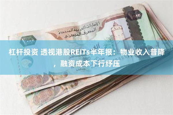 杠杆投资 透视港股REITs半年报：物业收入普降，融资成本下行纾压