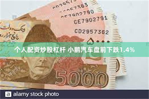 个人配资炒股杠杆 小鹏汽车盘前下跌1.4%
